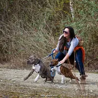 Alexandra Education Canine 78