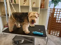 Au Ch Ti Chien