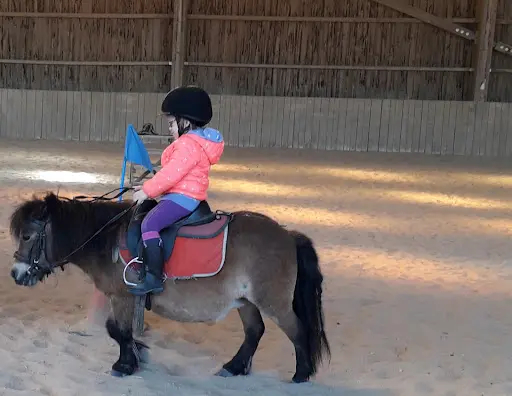 Poney Club et Gîte de Villers en Argonne: Stage et Séjour Équestre, Gîte de Groupe Proche de Reims Dans la Marne