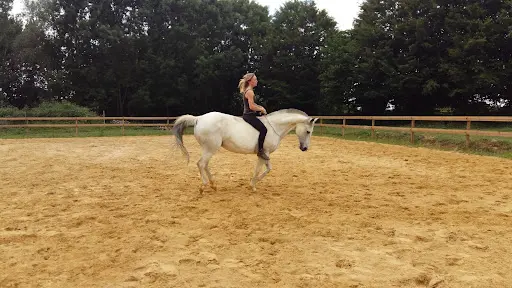 Écurie Equestri Art