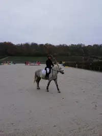 Sarl T&m - Lambert Thomas et Mathieu