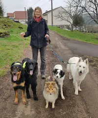 Educateur et Comportementaliste Canin
