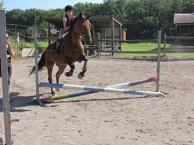 Les Ecuries de Chailles