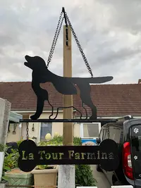 Labradors de la Tour Farmina