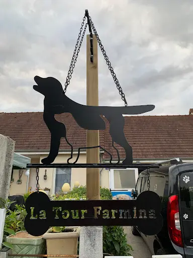 Labradors de la Tour Farmina