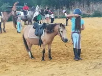 Le Poney Rouge