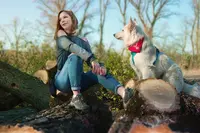 Good Doggy