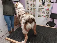 Plutôt Chic