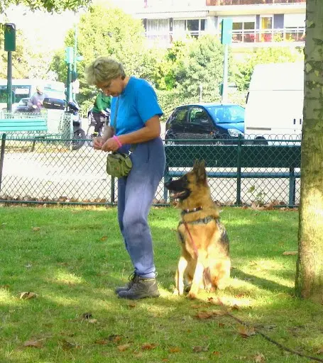 Cani Class Education Canine et Comportement