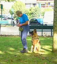 Cani Class Education Canine et Comportement