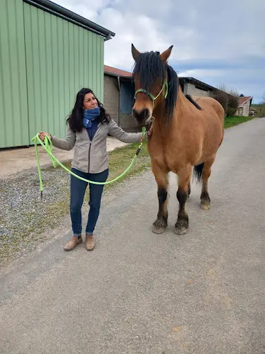 Cheval Envol