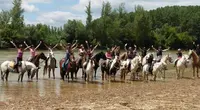 l'Écurie du Galop