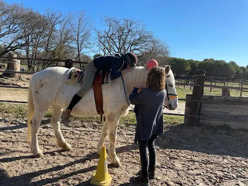 Cheval Alliance Equithérapie