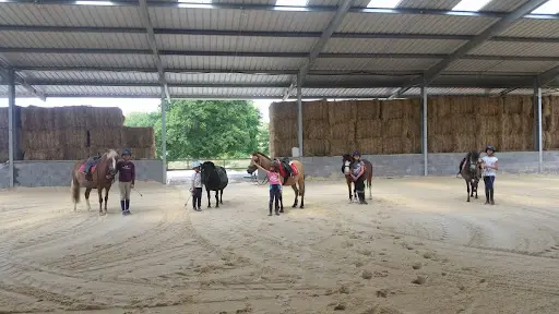 Haras du Moulin Neuf