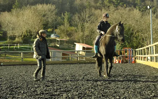 Christine Portier - Cours Particulier d'Équitation