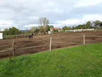 Haras du Brin d'Amour