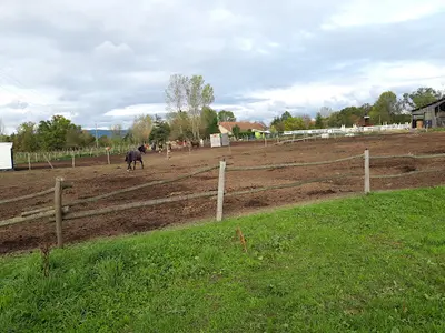 Haras du Brin d'Amour