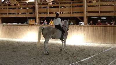 Les Cavaliers du Reg Promenades et Randonnées À Cheval, Élevage, Dressage Équins, Stages et Conférences. Créations Équestres.