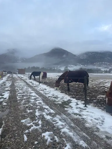 Écurie Équin’oxe Pension Chevaux , Equitherapie et Élevage de Chèvres Angora, Hautes Alpes