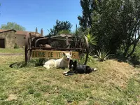 Campus Canin