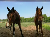 Centre Equestre des Eaux Claires