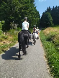 Les Paddocks - Centre Équestre & Chambres d'Hôtes
