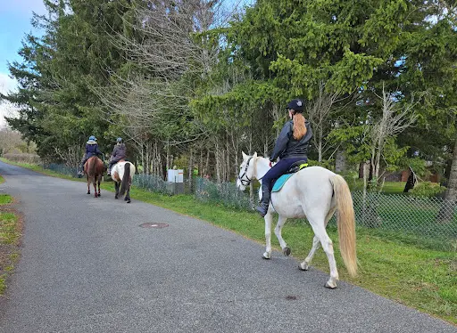 Les Chevaux des Bisettes