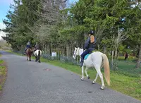 Les Chevaux des Bisettes