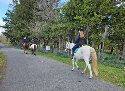 Les Chevaux des Bisettes
