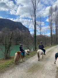 La Petite Cavale D’erika