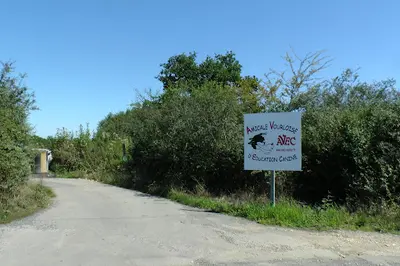 Amicale Vourloise d'Education Canine