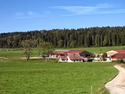 Écuries Saint Lazare - Liard Laurent