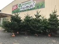 Monde Animal - Hellozoo