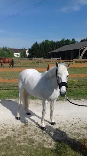 Centre Equestre de l'Odyssee