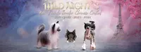 Élevage Wild Night S