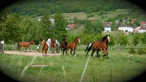 Ferme Kleinerlen