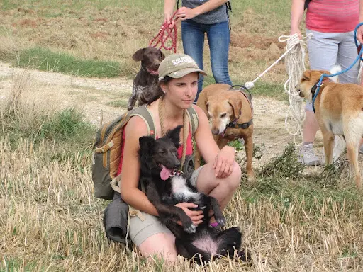 Canis Naturae