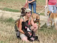 Canis Naturae