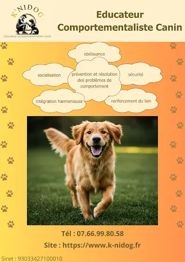 K Nidog - Éducateur Comportementaliste Canin