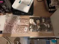 Insect-express