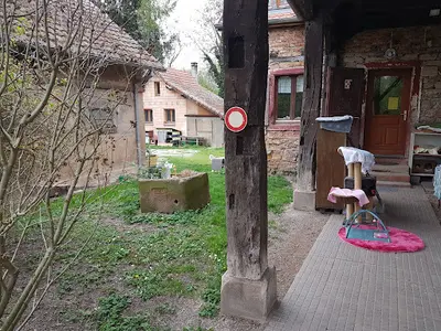 Animaux en Détresse