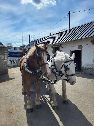 Les Calèches D’amandine