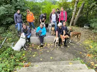 Wolf Dog Education / Taxi Animalier / Pet Sitter