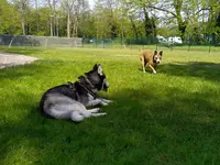 Lm - Éducation Canine