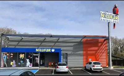 Nilufar Colmar-wintzenheim