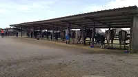 Poney Club les Amazones