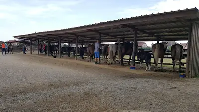 Poney Club les Amazones
