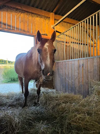 Black River Ranch