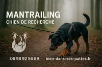 Bien Dans Ses Pattes