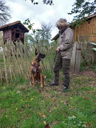 Sports Canins des Grands Lacs (education & Agility Club Canin)